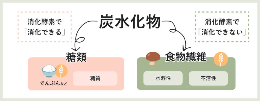 オーツミルクの食物繊維について｜炭水化物と糖質と食物繊維の関係性