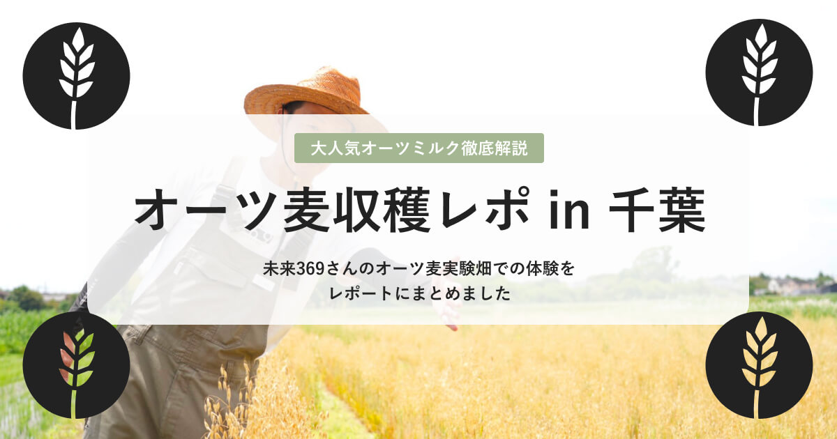 オーツ麦収穫体験レポート 1